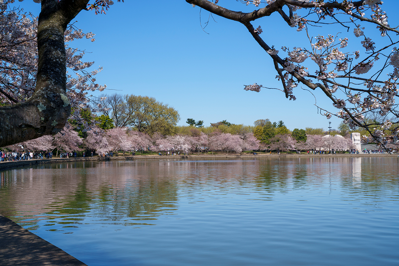 Tidal Basin